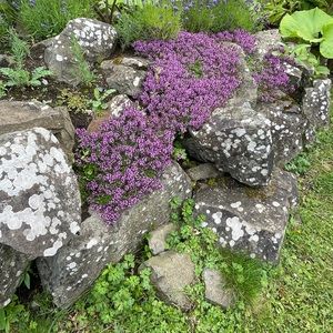 Meet your Posher, Jody